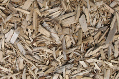 biomass boilers Penge